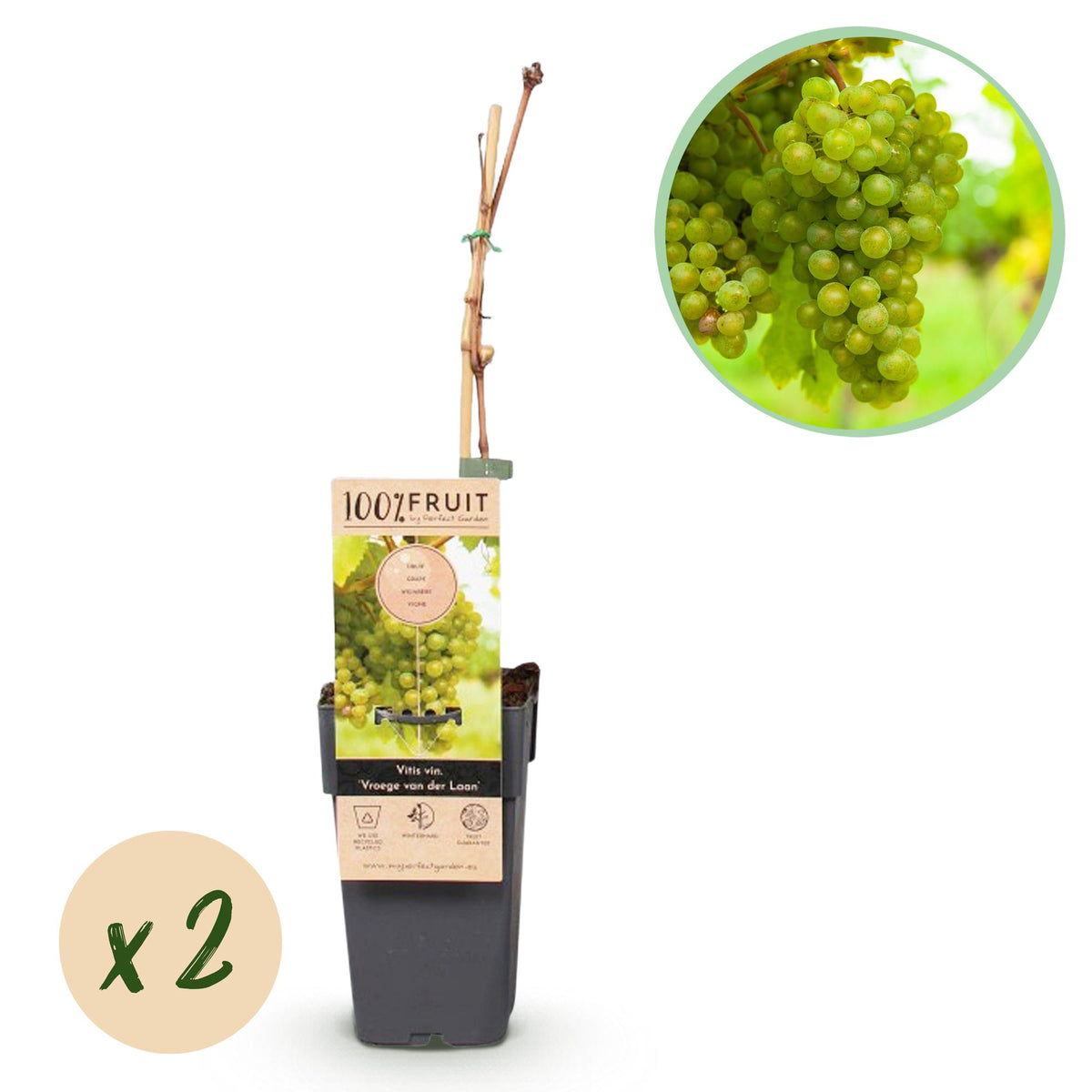 Productafbeelding van Pureplant