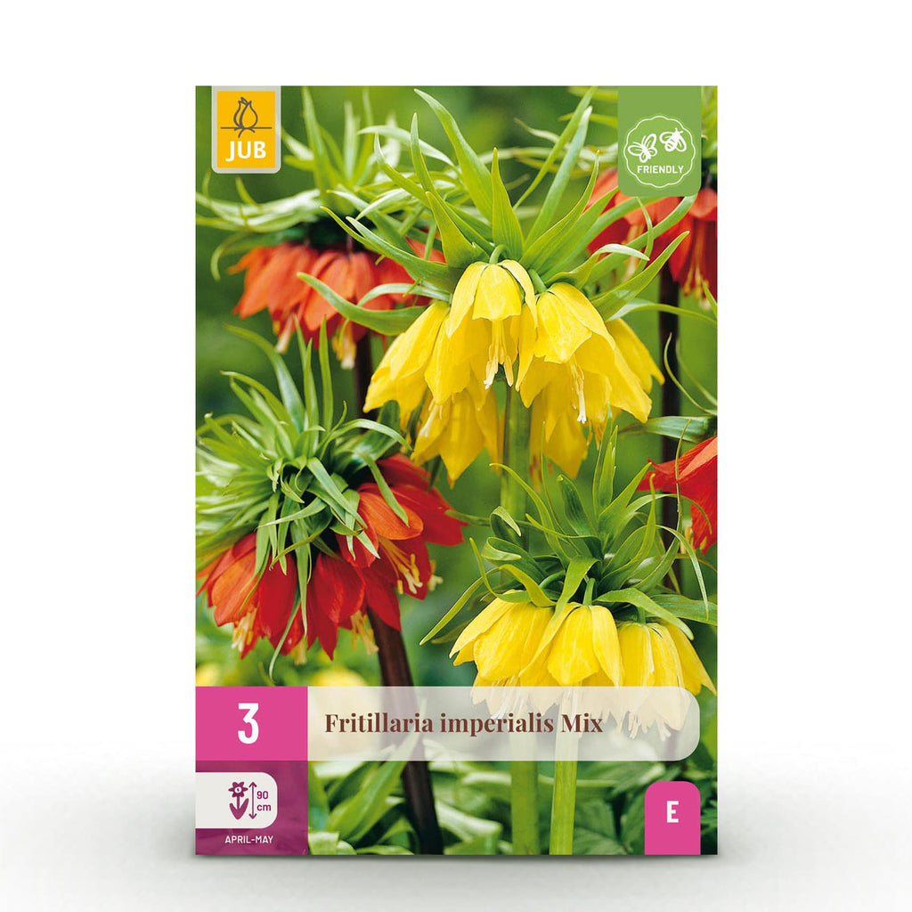 Fritillaria Imperialis Mix, kenmerkend blad