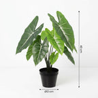 Kunstplant Alocasia Polly, groene bladeren