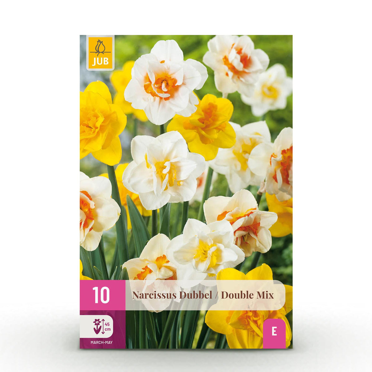 Narcis Double mix, detail van het blad