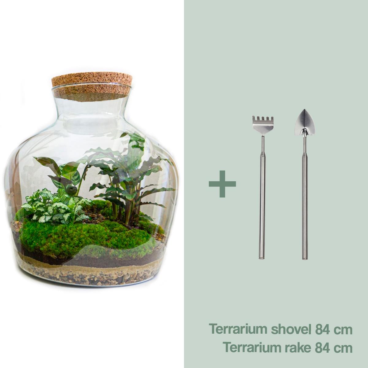 Detailfoto van DIY terrarium Fat Joe met licht, hark en schep