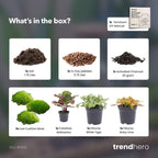 Productafbeelding van Pureplant