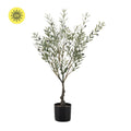 Kunstplant Olive tree in pot, plant in pot