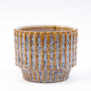 Set van 2 - Kerstboom &