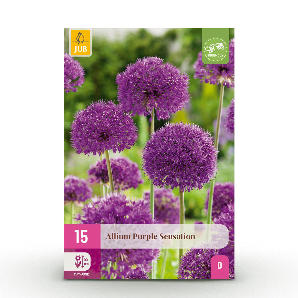 Allium Purple Sensation, detail van het blad