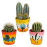 Cactus mix