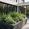 Borderpakket vaste planten, theekruiden, plant in pot