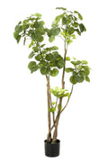 Kunstplant Polyscias aralia, dicht bebladerde takken, 135 cm, plant in pot
