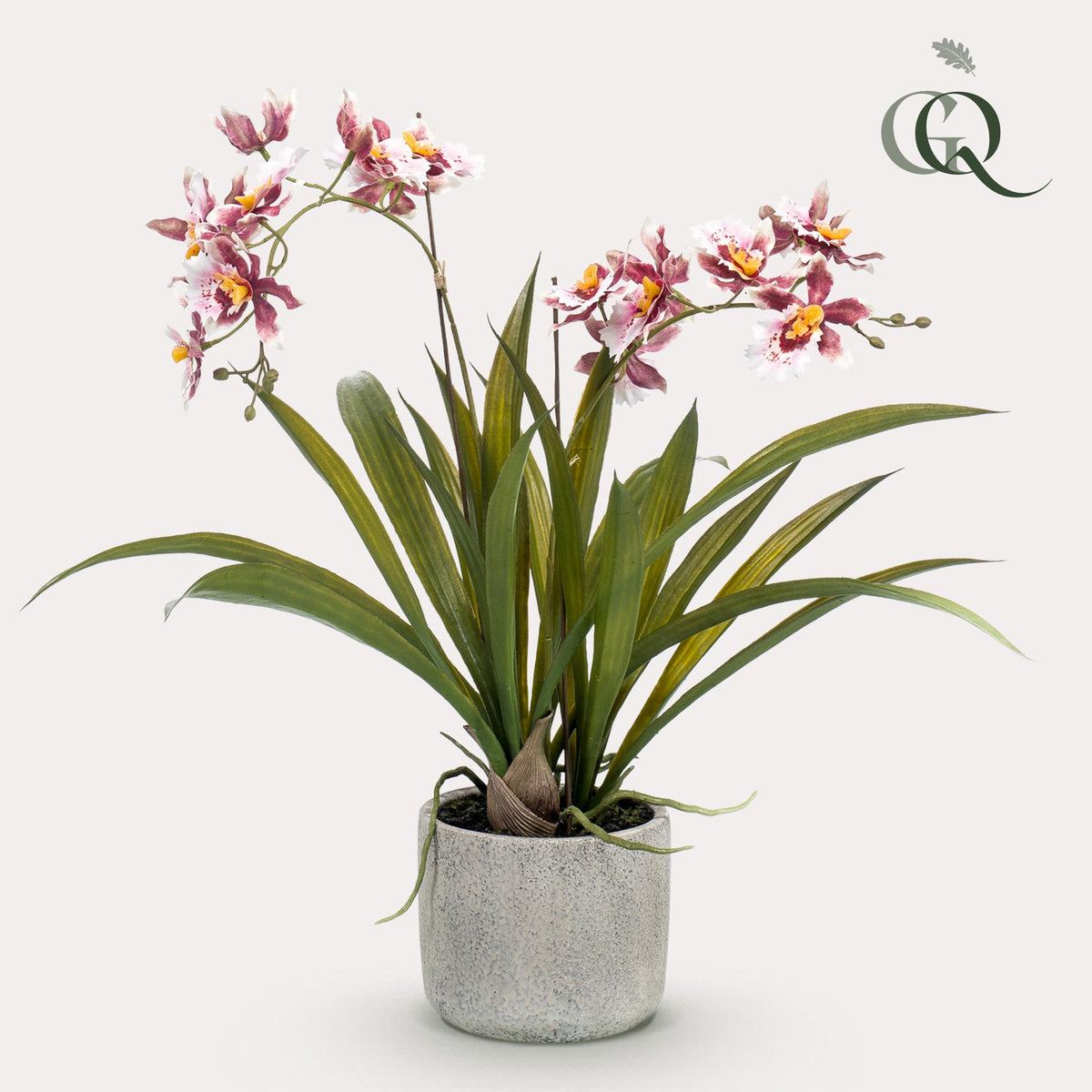 Kunstplant - Orchidee - Bordeaux, plant in pot