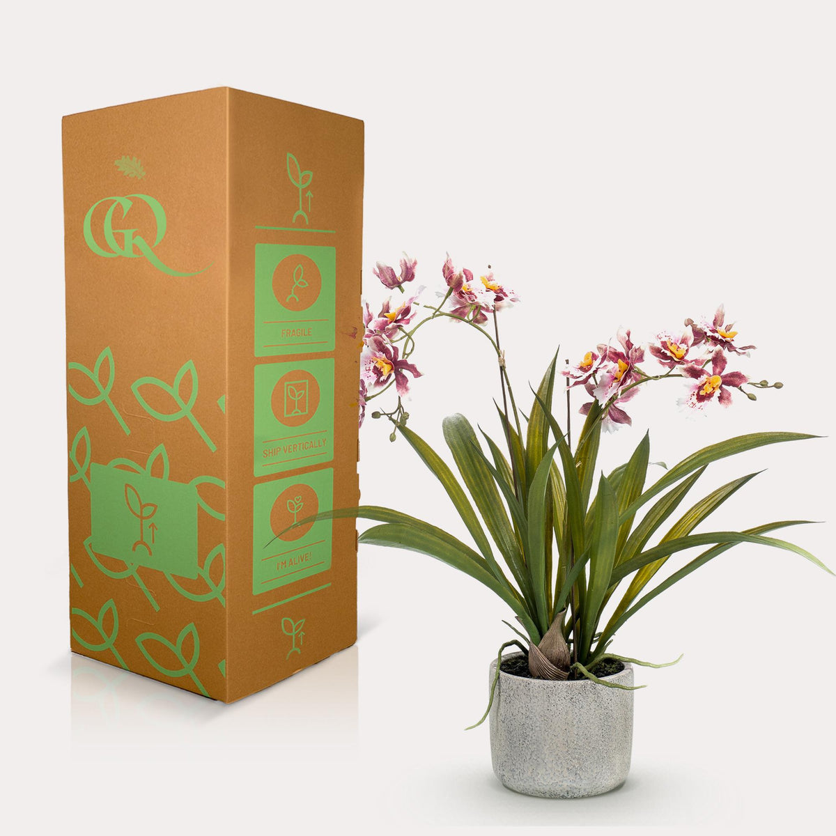 Kunstplant - Orchidee - Bordeaux, kenmerkend blad