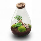 'Love Mom' terrarium Drop XL met gegraveerde kurk, detail van het blad