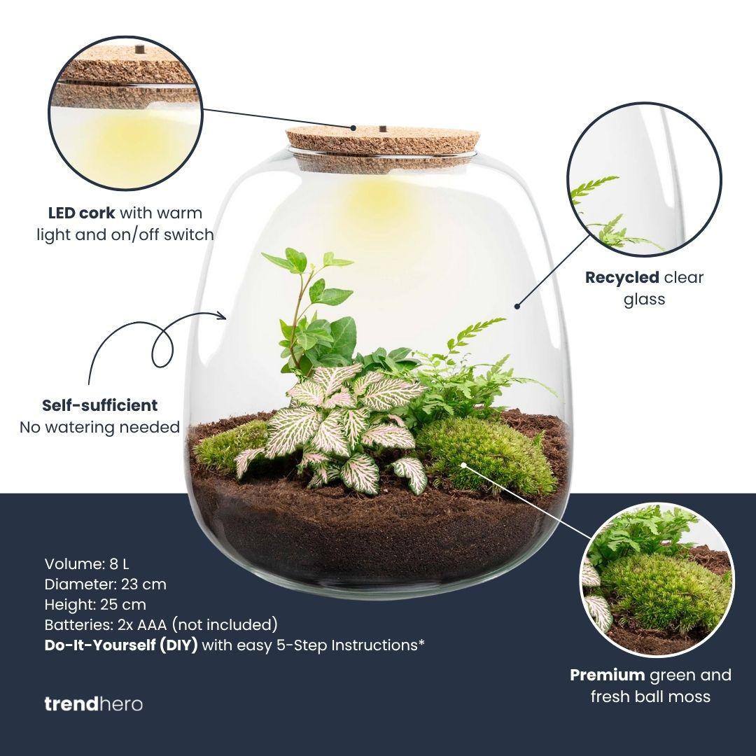 Planten terrarium - Emma - DIY kit - Hedera, roze, detail van het blad