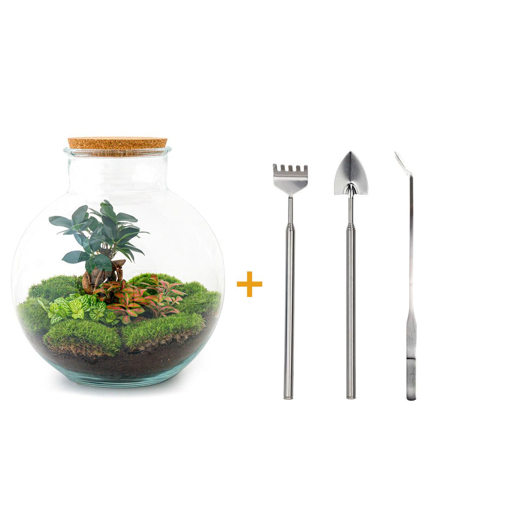 Productafbeelding van Pureplant