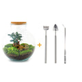 Productafbeelding van Pureplant
