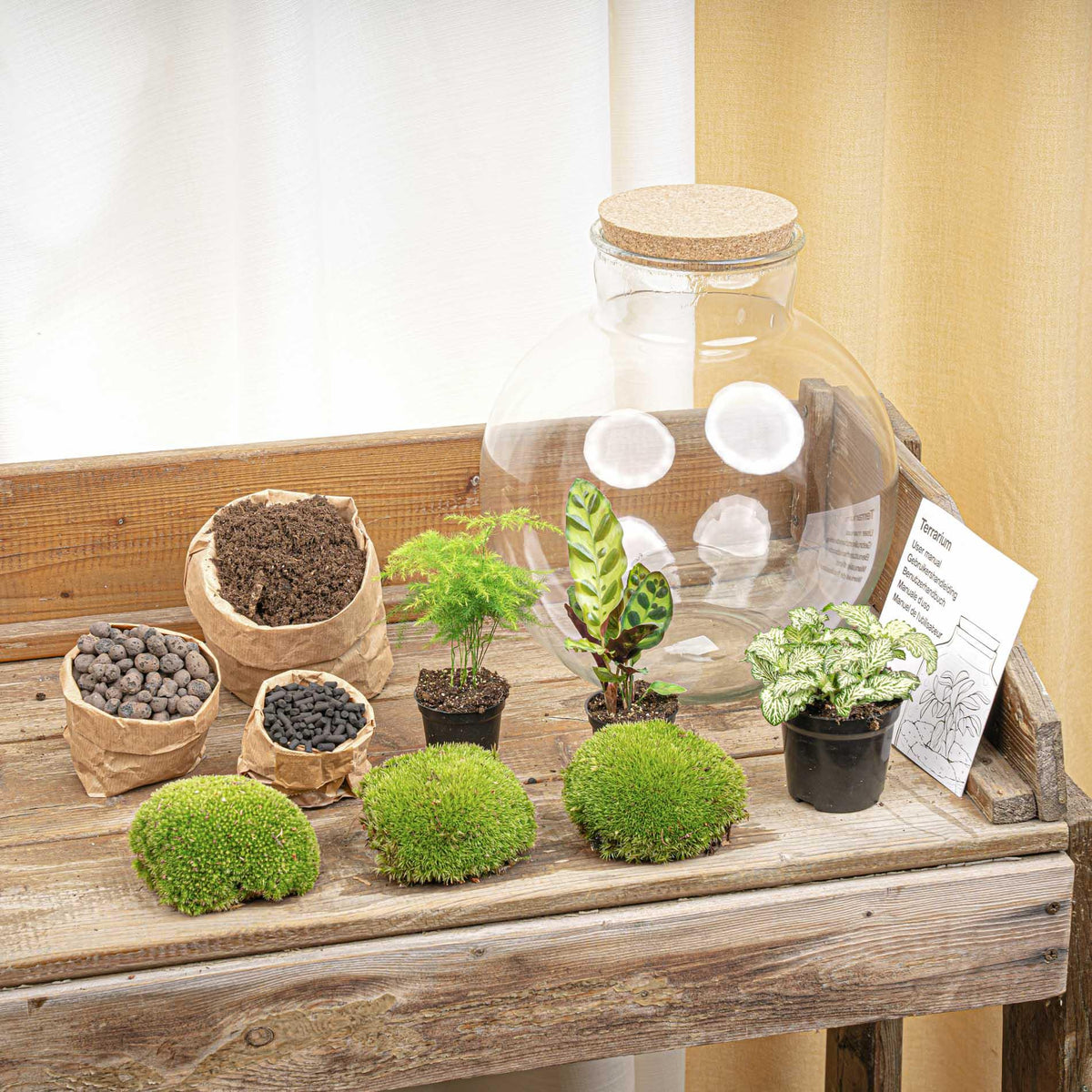 Detailfoto van DIY terrarium Bolder Bob met licht en ledkurk