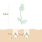 Bulb Garden Blue mix, groene bladeren