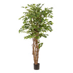 kunstplant - Ficus liana  - Vioolbladplant, groeiwijze van de plant