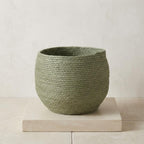 Mand Jorck groen 26 cm, groeiwijze van de plant