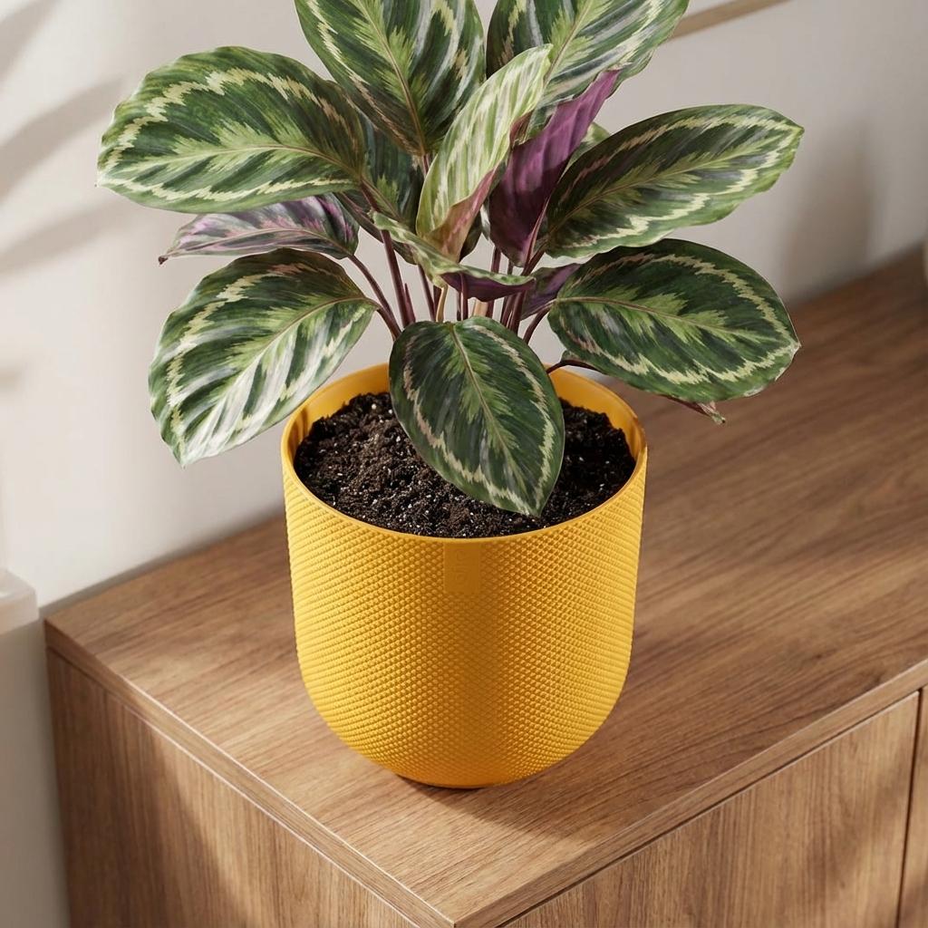 Productfoto van Elho Jazz Round pot in Amber Yellow, Ø14 cm