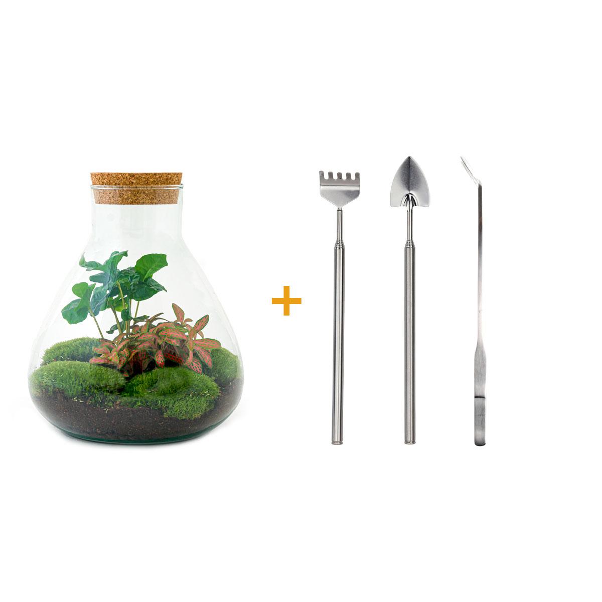 Productafbeelding van Pureplant
