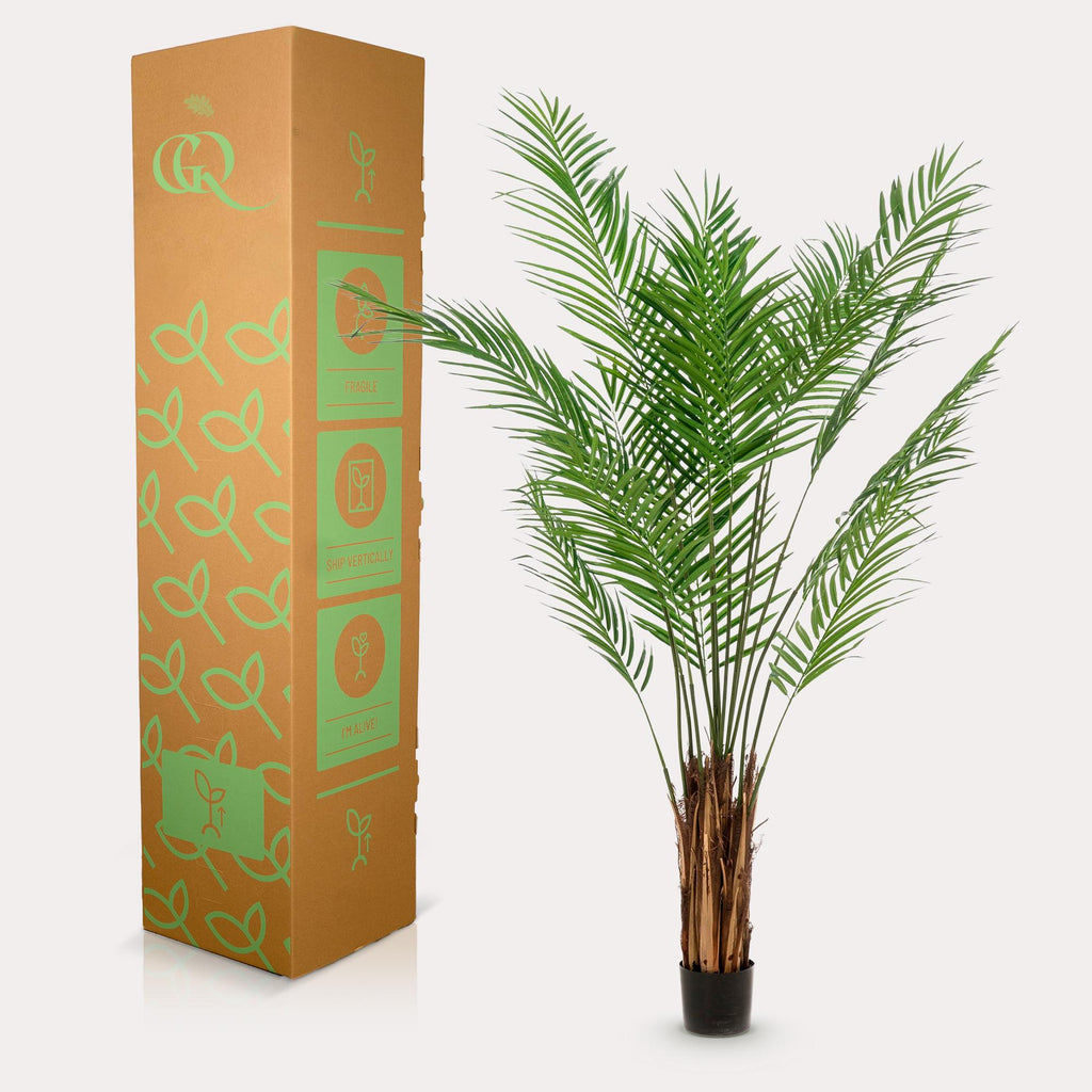 Productafbeelding van Pureplant