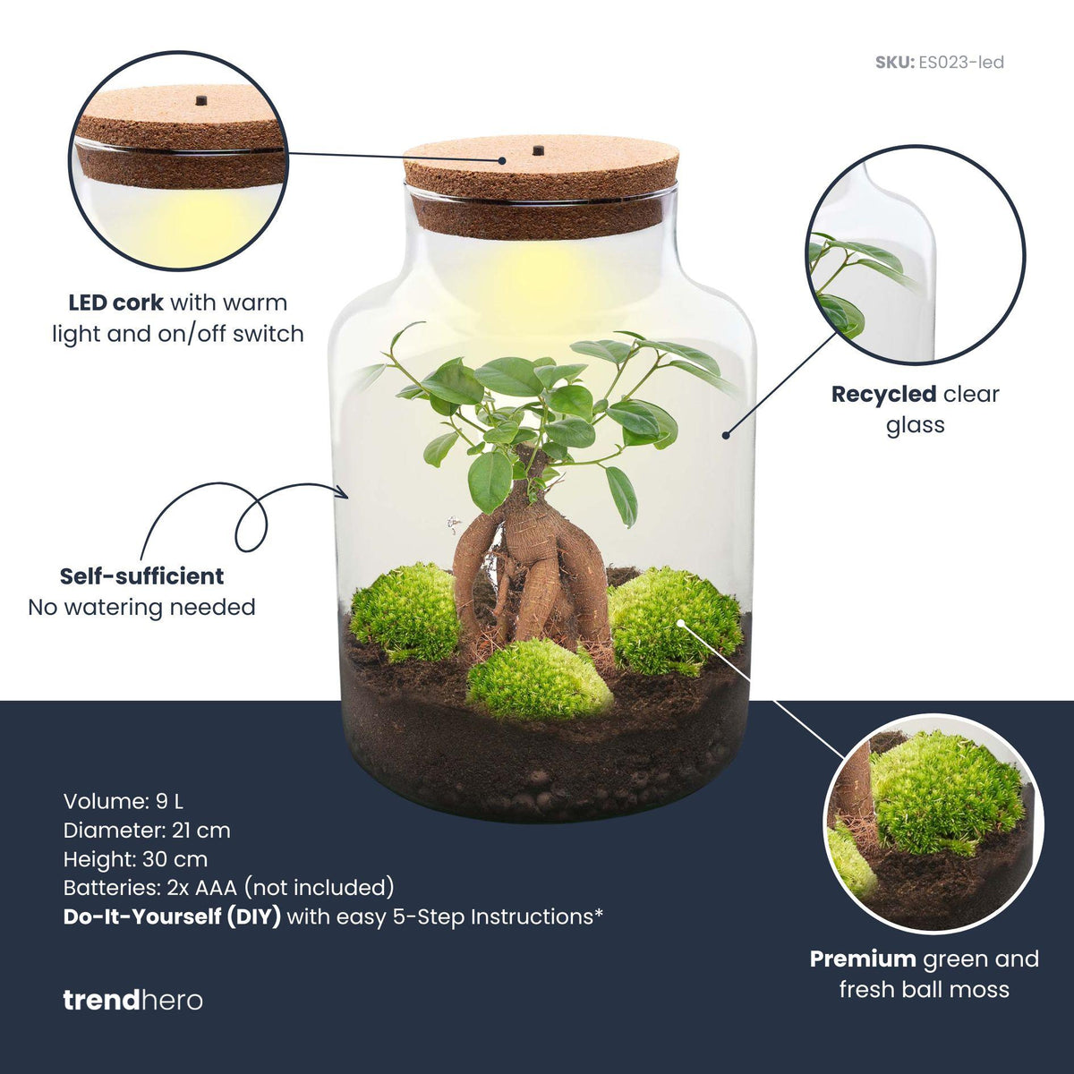 Detailfoto van DIY terrarium Milky Bonsai met licht, zonder gereedschap