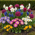 Bulb Garden mix, kenmerkend blad