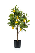 Productafbeelding van Pureplant