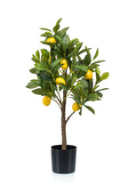 Productafbeelding van Pureplant
