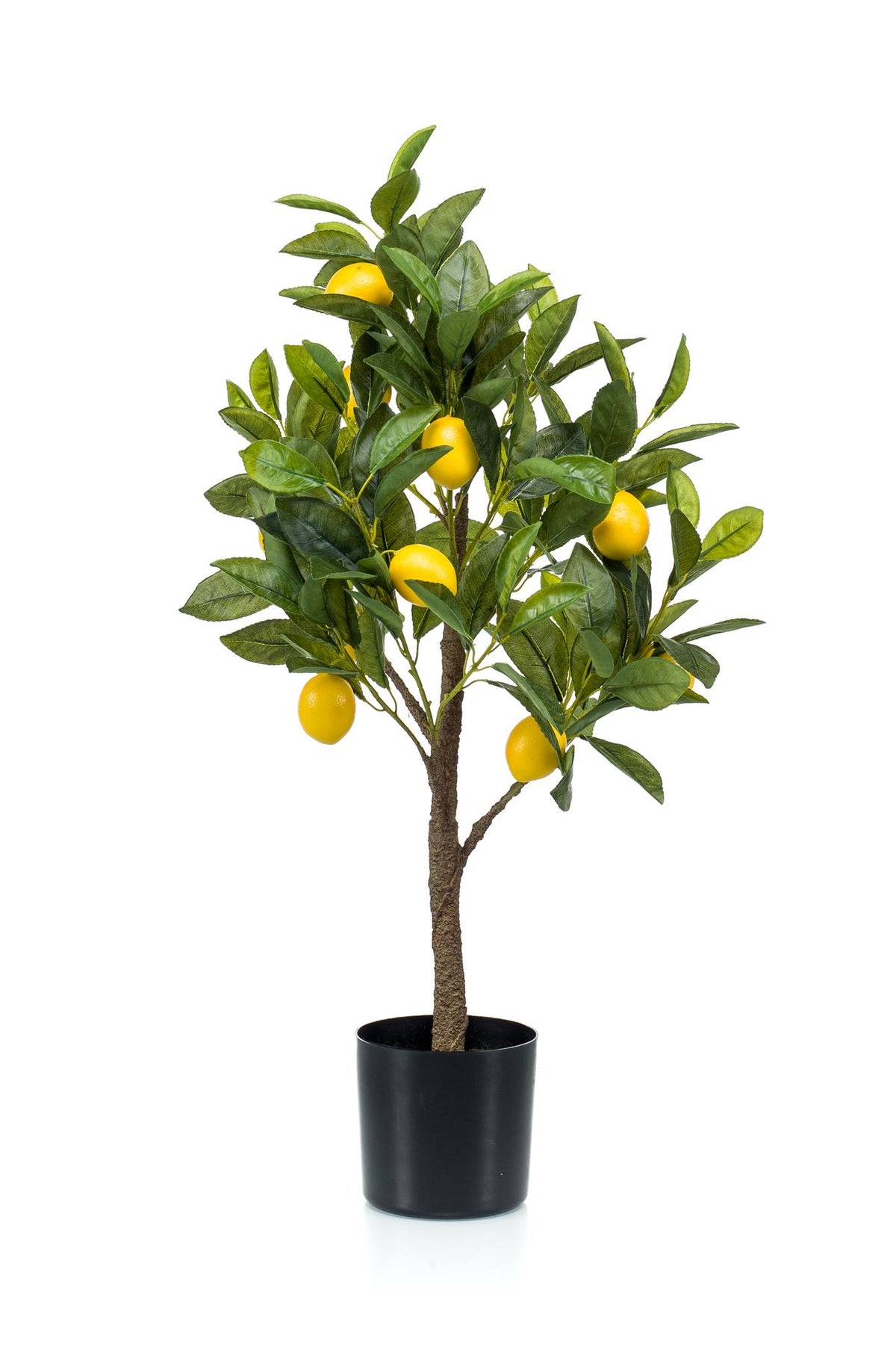 Productafbeelding van Pureplant