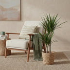 Dracaena Marginata, groene bladeren