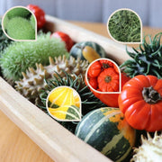 Decofruit Geschenkdoos 2