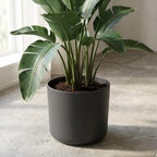 Elho b.for soft bloempot, antraciet, mat fluweelzacht, 25 cm, groene bladeren