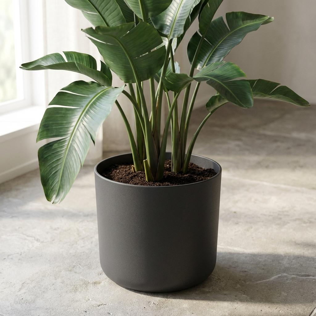 Elho b.for soft bloempot, antraciet, mat fluweelzacht, 25 cm, groene bladeren