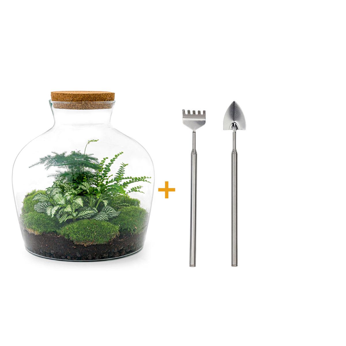 Productafbeelding van Pureplant