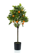 Productafbeelding van Pureplant
