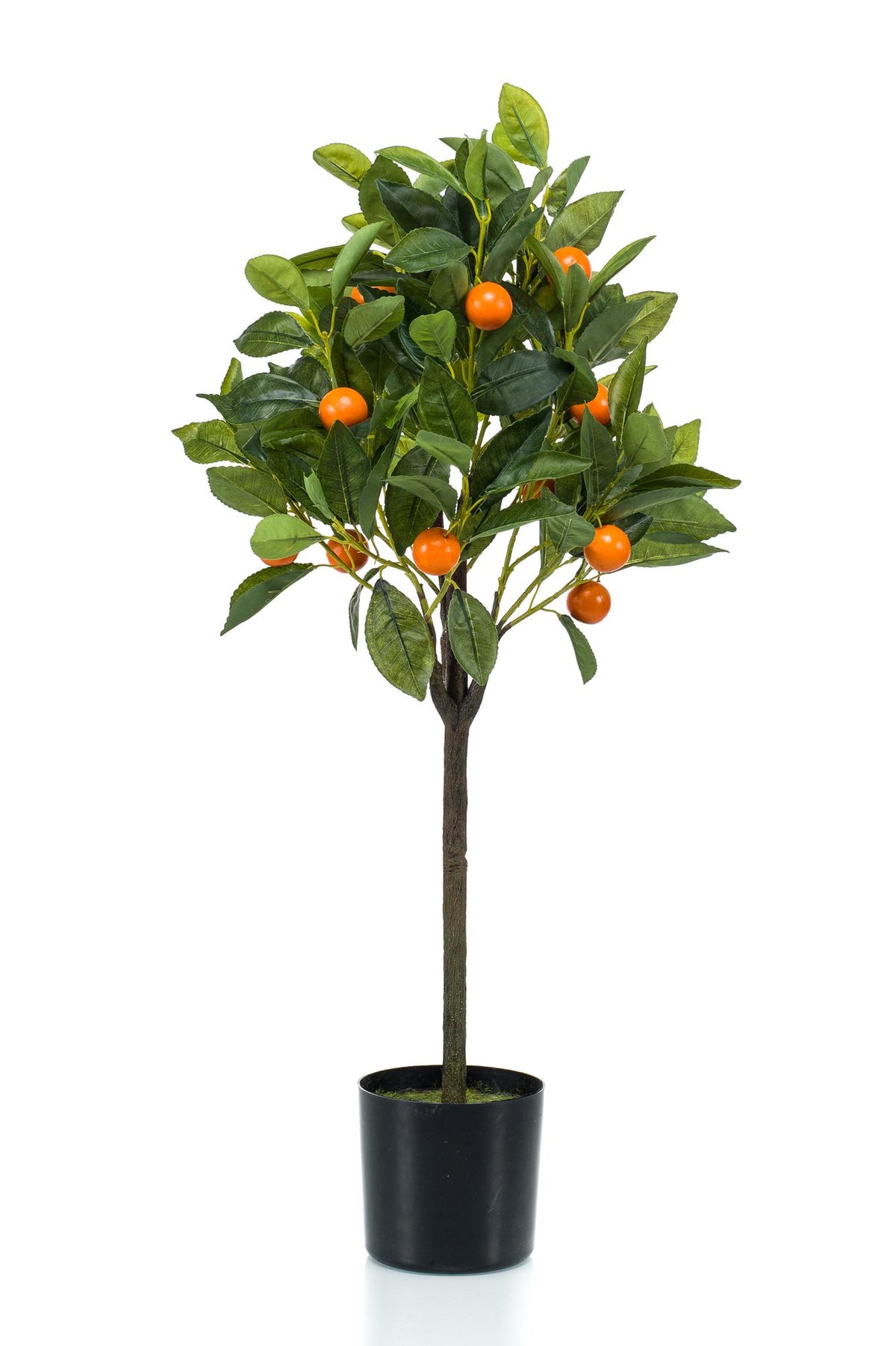 Productafbeelding van Pureplant