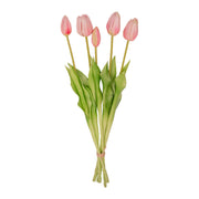 Tulpen boeket Pink - 5 stuks - &