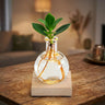 Glowplant, Clusia in vaasje met lampje en houten plankje