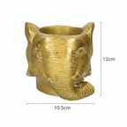 Planter Olifant D11/12x10cm - Goud - D11/12x10cm, gezonde plant