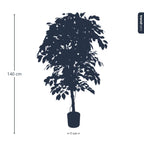 Ficus Deluxe Vine Kunstboom, gezonde plant