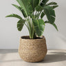 Mand Jorck bruin 26 cm