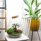 Detailfoto van DIY terrarium Drop XL Bonsai Red, hark, schep, pincet