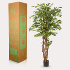 kunstplant - Ficus liana  - Vioolbladplant, groene bladeren