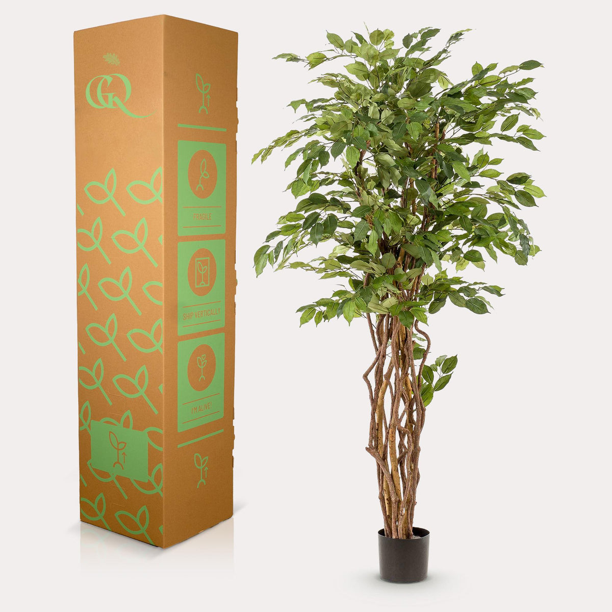 kunstplant - Ficus liana  - Vioolbladplant, groene bladeren