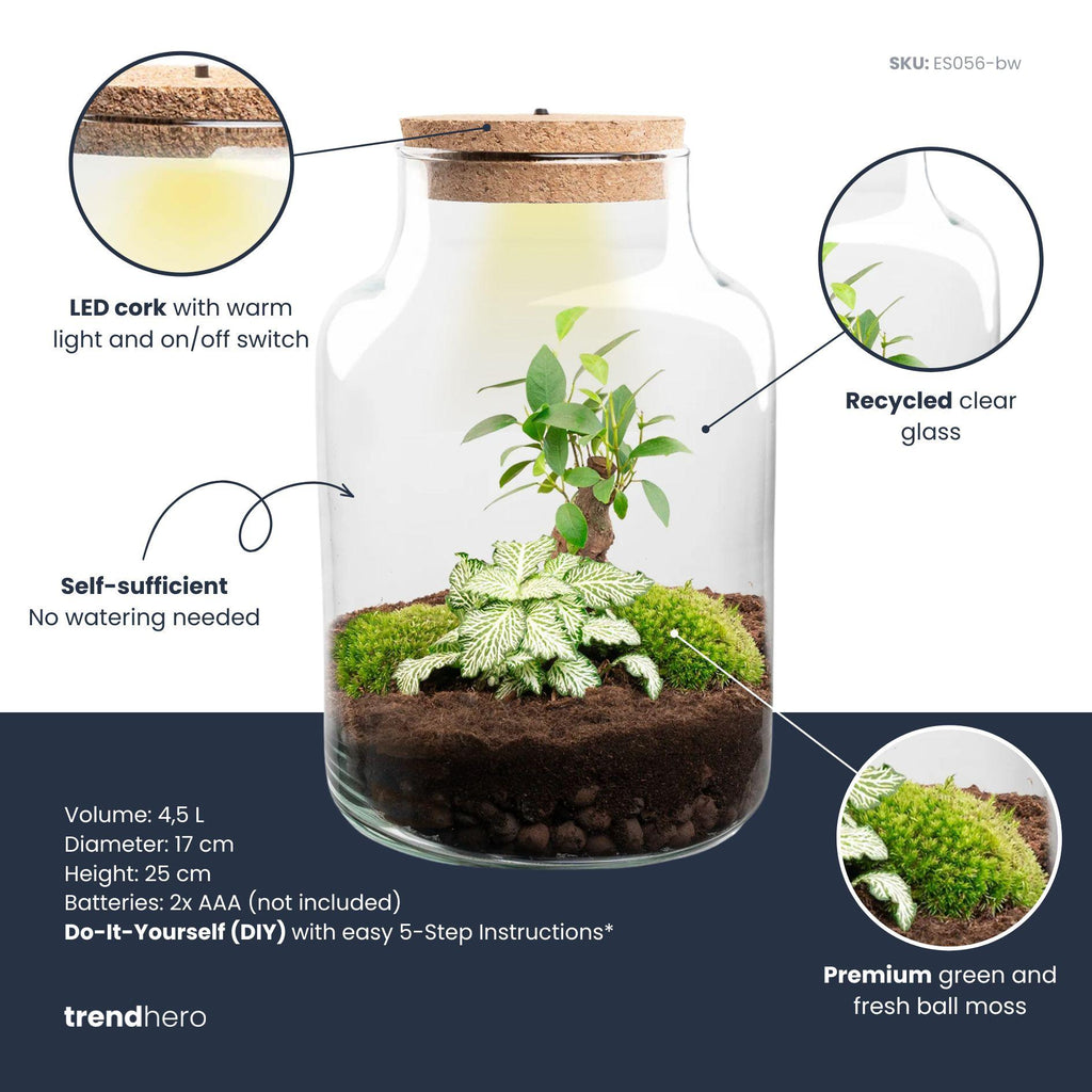 Productafbeelding van Pureplant