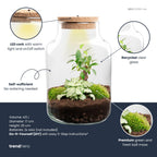 Productafbeelding van Pureplant