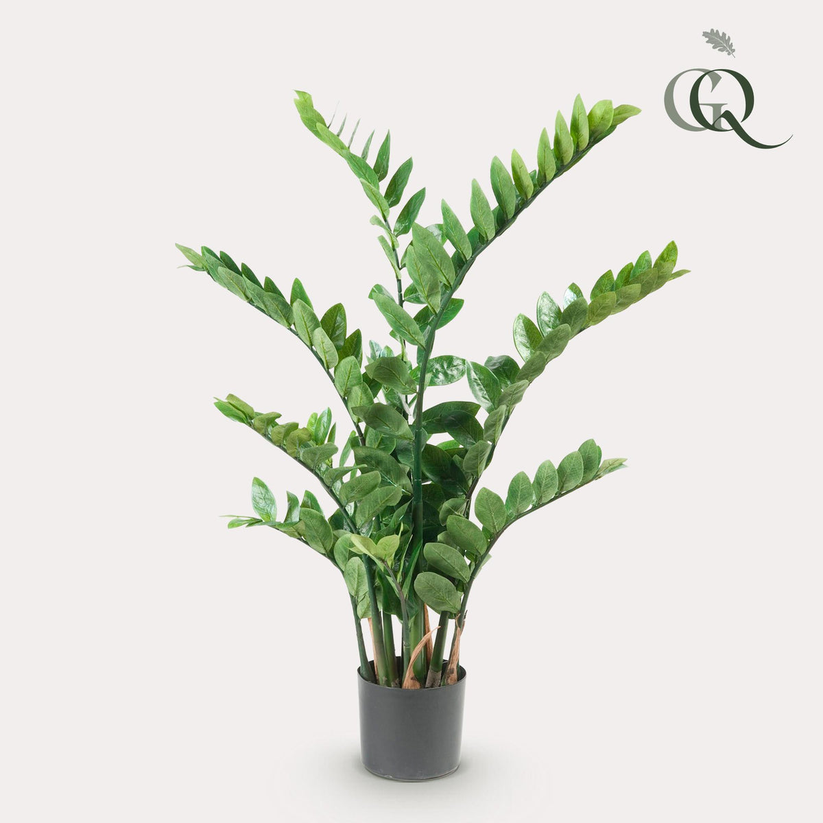 Productafbeelding van Pureplant