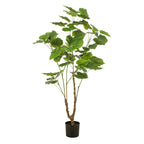 Kunstplant - Ficus umbellate - Afrikaanse vijg, groeiwijze van de plant
