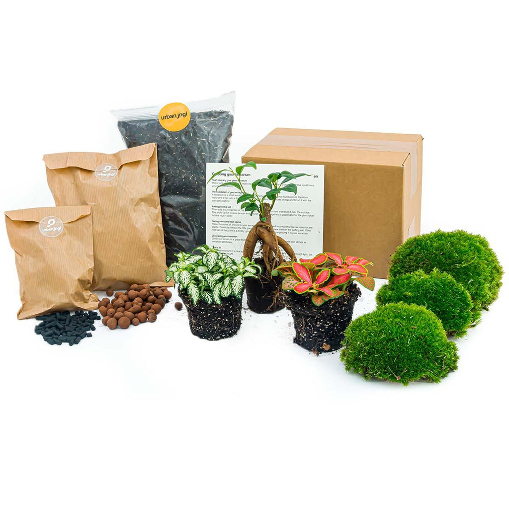 Productafbeelding van Pureplant